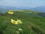 90 Vista sui Piani dell'Avaro